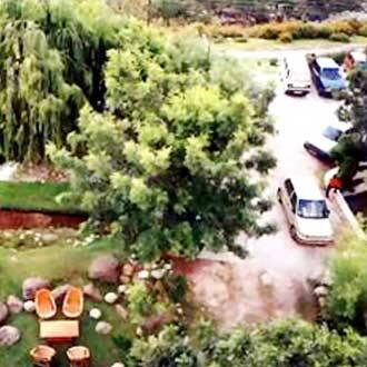 Silver Oaks, Palampur 5